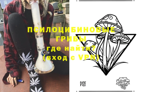 сатива Алексин