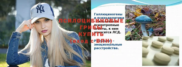 прущая мука Абаза