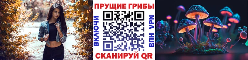 Псилоцибиновые грибы Psilocybine cubensis  наркотики  Лысково 